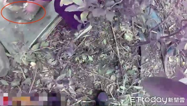 ▲▼保全移開壓在鐵板上的大石頭，員警到地下室逮捕竊賊，警方起獲犯案工具並查扣一包毒品             。（圖／記者陳以昇翻攝）