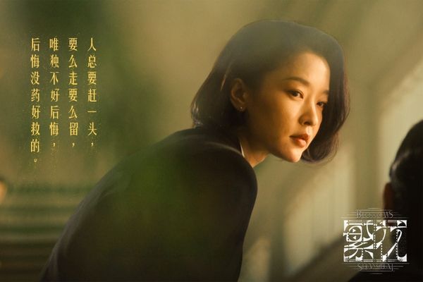 ▲ 繁花裡的杜鵑。（圖／繁花微博）              