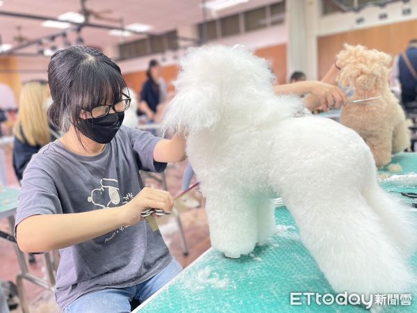 ▲中華醫事科大寵物照護與美容系師生發揮所學專長，將在寵物主題市集提供簡易美容義剪服務，透過「搖尾草狗狗派對Tails Party！」，推廣責任飼主觀念。（記者林東良翻攝，下同）
