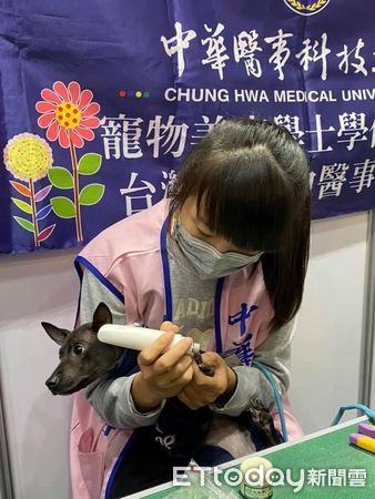 ▲中華醫事科大寵物照護與美容系師生發揮所學專長，將在寵物主題市集提供簡易美容義剪服務，透過「搖尾草狗狗派對Tails Party！」，推廣責任飼主觀念。（記者林東良翻攝，下同）