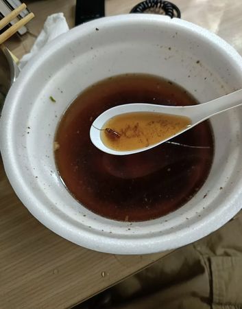 ▲▼吃牛肉麵竟撈到「整隻蟑螂」！他崩潰快吐了　噁爛畫面曝。（圖／Threads/_lee.805授權提供）