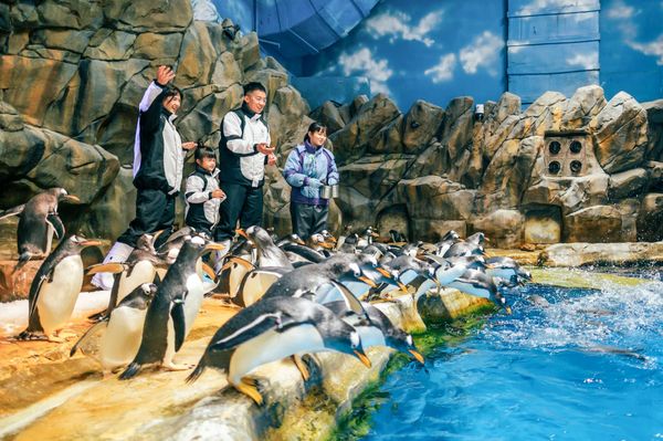 ▲香港海洋公園。（圖／香港海洋公園提供）