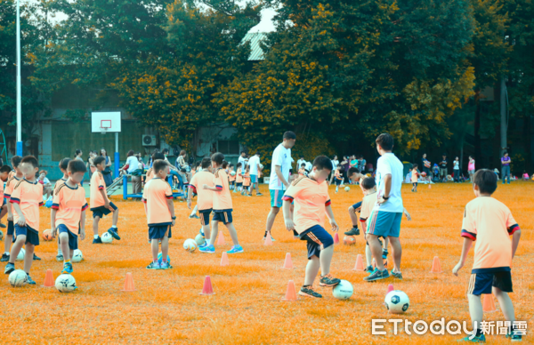 ▲▼體育班、運動俱樂部隱藏暴力行為（專題中心用）。（圖片經變色處理／資料照）