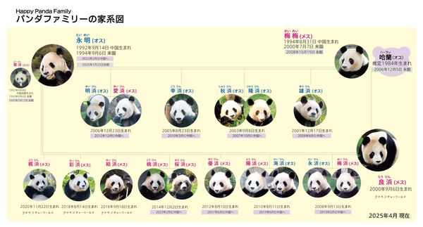  永明及良濱前後共生了16個小孩。（翻攝冒險大世界遊樂園官網）