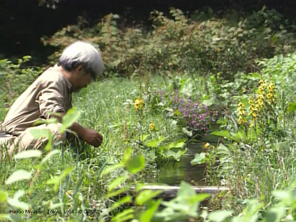 ▲▼ 鈴木敏夫「為了宮﨑駿騙投資商」：撒下人生最大的謊！結局超溫馨。（圖／甲上娛樂提供）