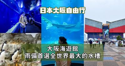 鯨鯊從頭頂游過！巨型水槽貫穿整座水族館