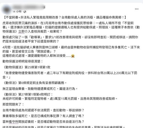 ▲民眾指控台南市動保處對非法繁殖品種貓案件僅張貼勸導單，事後多隻貓疑遭棄養至雲林死亡，引發動保團體強烈抨擊。（圖／翻攝自邵柏森-虎哥救援大小事）