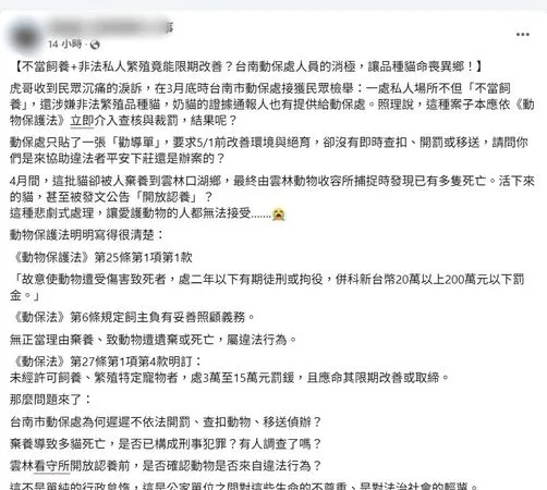 ▲民眾指控台南市動保處對非法繁殖品種貓案件僅張貼勸導單，事後多隻貓疑遭棄養至雲林死亡，引發動保團體強烈抨擊。（圖／翻攝自邵柏森-虎哥救援大小事）