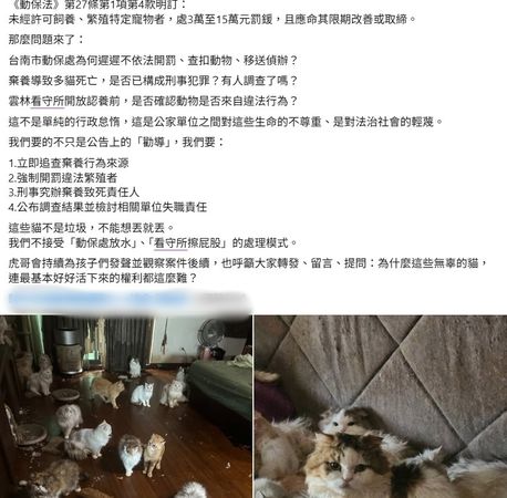 ▲民眾指控台南市動保處對非法繁殖品種貓案件僅張貼勸導單，事後多隻貓疑遭棄養至雲林死亡，引發動保團體強烈抨擊。（圖／翻攝自邵柏森-虎哥救援大小事）