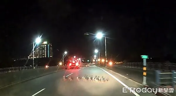 ▲日光橋上驚見花嘴鴨家族。（圖／記者楊漢聲翻攝）