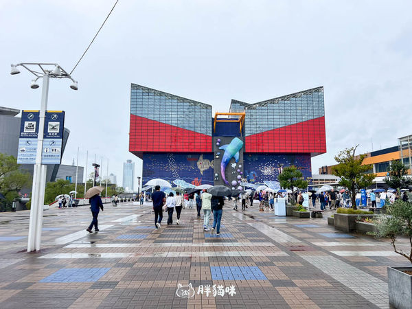 ▲▼【大阪雨天景點推薦】大阪海遊館：全世界最大的水槽，非去不可的3大理由！。（圖／部落客胖貓咪的奇幻旅程授權提供）