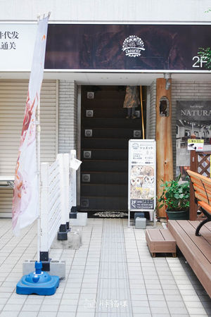 ▲▼日本旅遊推薦：台灣體驗不到！大阪必訪貓頭鷹咖啡廳Chouette完整攻略，近距離互動萌到炸。（圖／部落客胖貓咪的奇幻旅程授權提供）