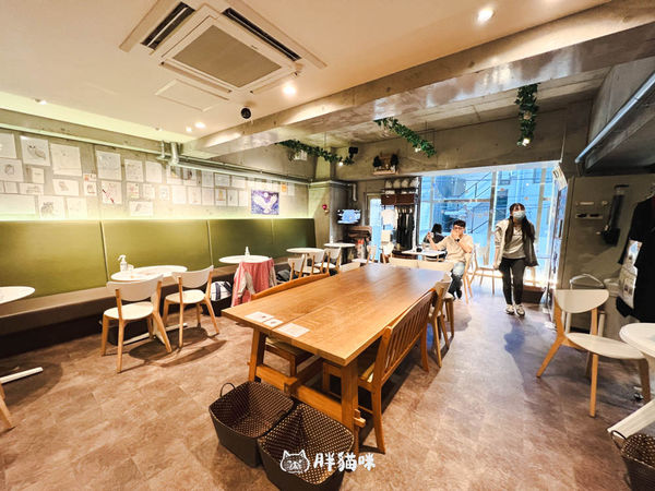 ▲▼日本旅遊推薦：台灣體驗不到！大阪必訪貓頭鷹咖啡廳Chouette完整攻略，近距離互動萌到炸。（圖／部落客胖貓咪的奇幻旅程授權提供）