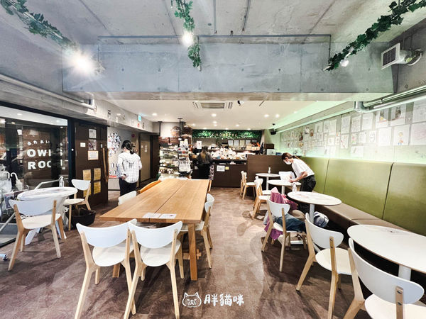 ▲▼日本旅遊推薦：台灣體驗不到！大阪必訪貓頭鷹咖啡廳Chouette完整攻略，近距離互動萌到炸。（圖／部落客胖貓咪的奇幻旅程授權提供）