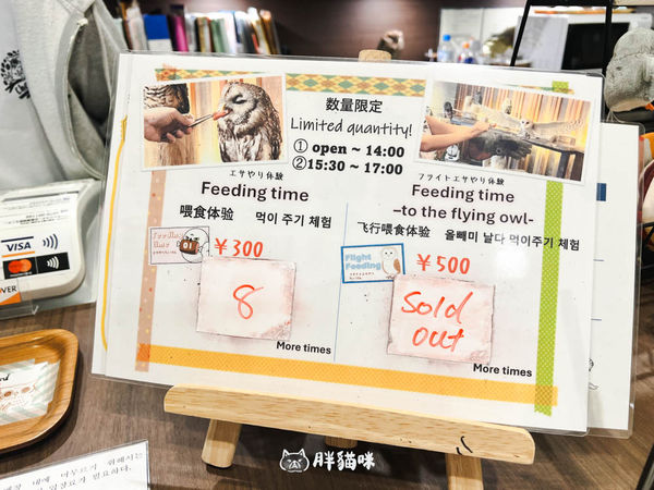 ▲▼日本旅遊推薦：台灣體驗不到！大阪必訪貓頭鷹咖啡廳Chouette完整攻略，近距離互動萌到炸。（圖／部落客胖貓咪的奇幻旅程授權提供）