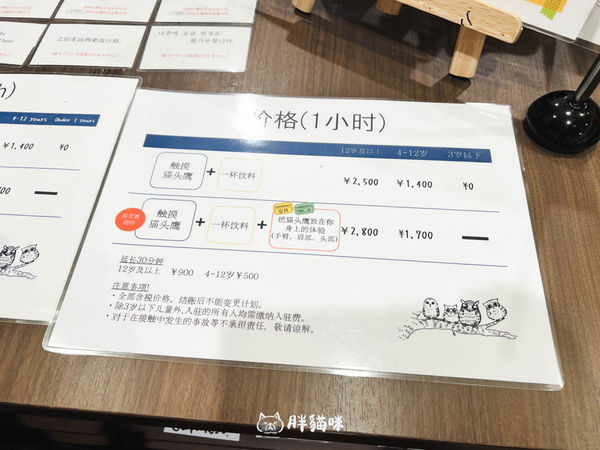 ▲▼日本旅遊推薦：台灣體驗不到！大阪必訪貓頭鷹咖啡廳Chouette完整攻略，近距離互動萌到炸。（圖／部落客胖貓咪的奇幻旅程授權提供）