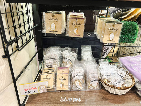 ▲▼日本旅遊推薦：台灣體驗不到！大阪必訪貓頭鷹咖啡廳Chouette完整攻略，近距離互動萌到炸。（圖／部落客胖貓咪的奇幻旅程授權提供）