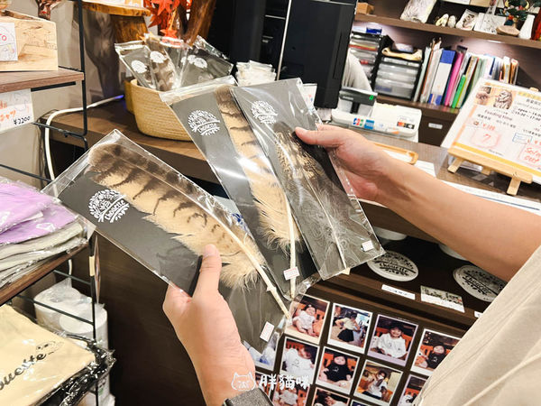 ▲▼日本旅遊推薦：台灣體驗不到！大阪必訪貓頭鷹咖啡廳Chouette完整攻略，近距離互動萌到炸。（圖／部落客胖貓咪的奇幻旅程授權提供）