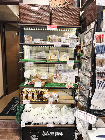 ▲▼日本旅遊推薦：台灣體驗不到！大阪必訪貓頭鷹咖啡廳Chouette完整攻略，近距離互動萌到炸。（圖／部落客胖貓咪的奇幻旅程授權提供）