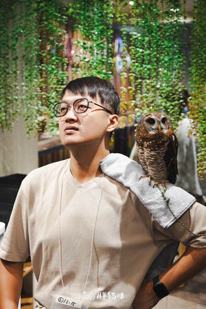 ▲▼日本旅遊推薦：台灣體驗不到！大阪必訪貓頭鷹咖啡廳Chouette完整攻略，近距離互動萌到炸。（圖／部落客胖貓咪的奇幻旅程授權提供）