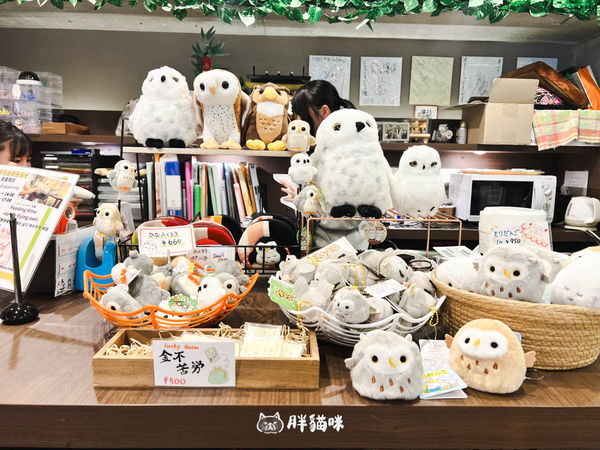 ▲▼日本旅遊推薦：台灣體驗不到！大阪必訪貓頭鷹咖啡廳Chouette完整攻略，近距離互動萌到炸。（圖／部落客胖貓咪的奇幻旅程授權提供）