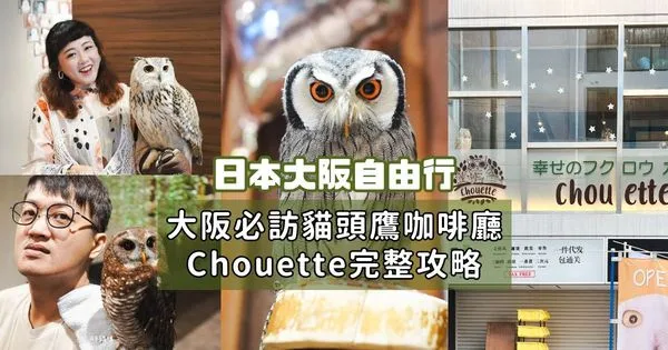 ▲▼日本旅遊推薦：台灣體驗不到！大阪必訪貓頭鷹咖啡廳Chouette完整攻略，近距離互動萌到炸。（圖／部落客胖貓咪的奇幻旅程授權提供）