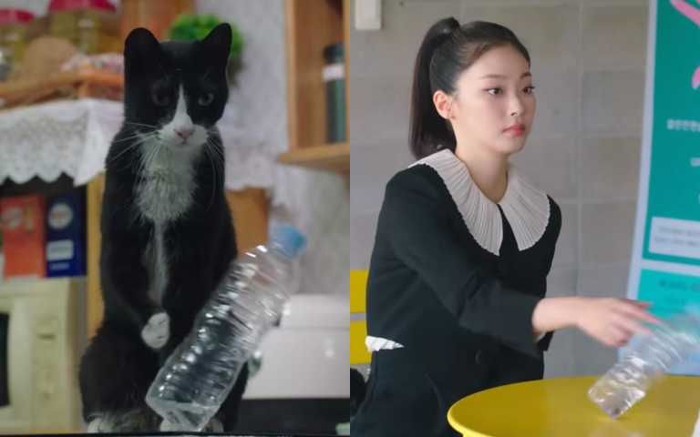韓劇《比天堂還美麗》爆紅人間貓咪崔熙真！演活小黑貓索尼亞掀全網熱搜