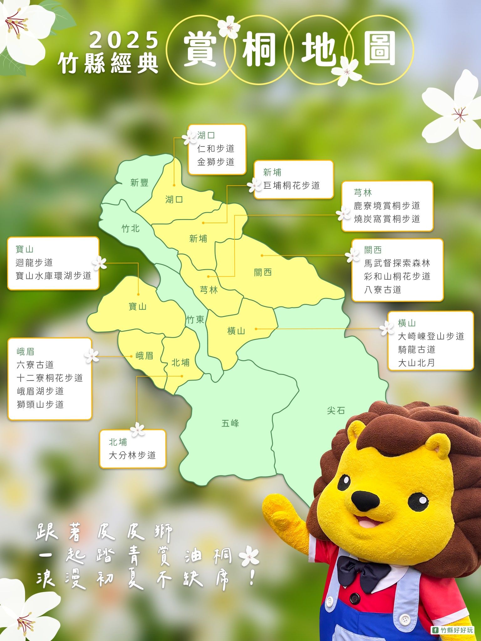 ▲新竹縣交旅處整理出17處桐花景點。（圖／新竹縣交旅處提供）
