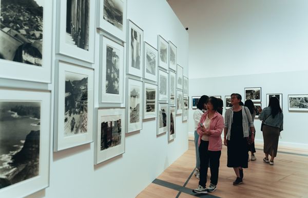 ▲▼「新北市美術館」即日起至6月30日免費入館參觀，連6周末戶外活動、煙火、光雕登場。（圖／新北市文化局提供）