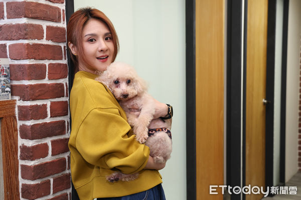 ▲▼  郭靜帶愛犬嘟嘟到寵物醫院做療程體驗 。（圖／記者黃克翔攝）