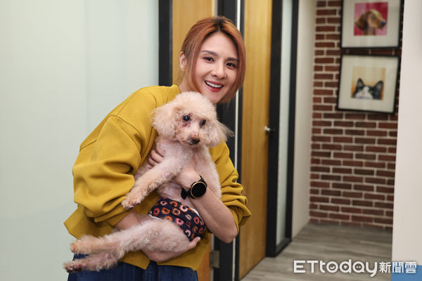 ▲▼  郭靜帶愛犬嘟嘟到寵物醫院做療程體驗 。（圖／記者黃克翔攝）