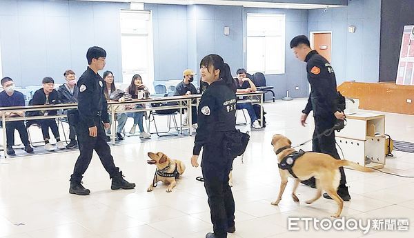 ▲法務部廉政署學員今天上午走訪桃園市政府警察局，領犬員引導警犬展示服從、氣味辨識及模擬查緝等項目。（圖／記者沈繼昌翻攝）