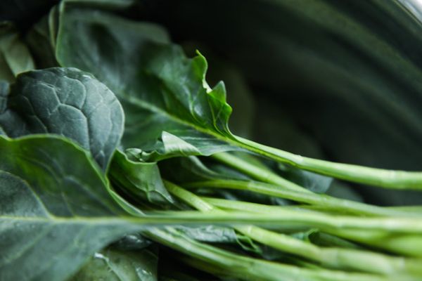 ▲▼最近頭髮掉很多？「5款食物」吃起來             。（圖／Pexels）
