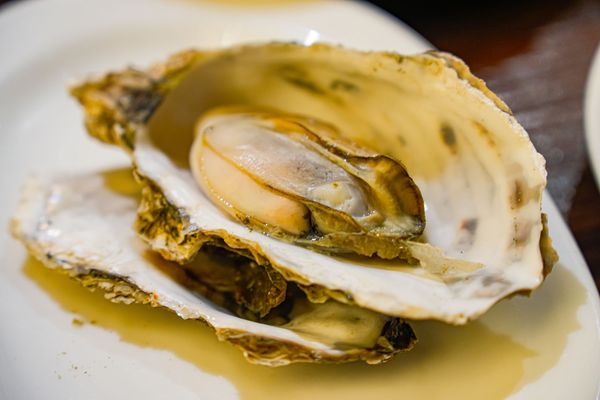 ▲▼豐FOOD海陸百匯 鮪魚季｜台北自助餐吃到飽，澎湃現流海鮮多國料理任你吃，週五限定鮪魚現切秀。（圖／部落客珊莎授權提供）