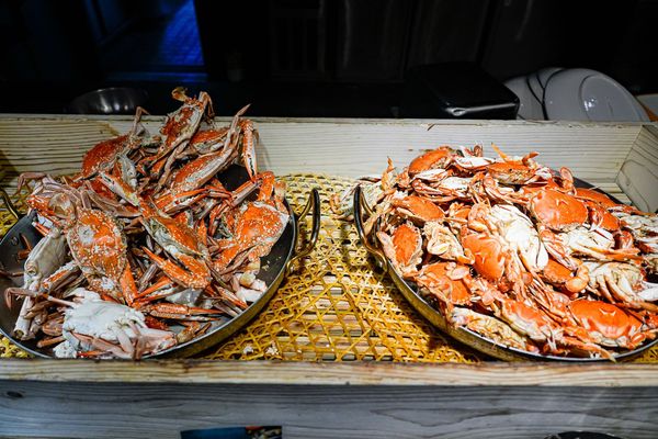 ▲▼豐FOOD海陸百匯 鮪魚季｜台北自助餐吃到飽，澎湃現流海鮮多國料理任你吃，週五限定鮪魚現切秀。（圖／部落客珊莎授權提供）