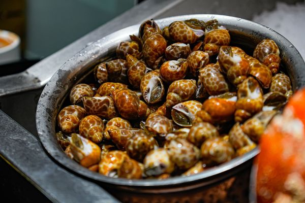 ▲▼豐FOOD海陸百匯 鮪魚季｜台北自助餐吃到飽，澎湃現流海鮮多國料理任你吃，週五限定鮪魚現切秀。（圖／部落客珊莎授權提供）