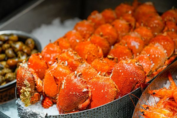 ▲▼豐FOOD海陸百匯 鮪魚季｜台北自助餐吃到飽，澎湃現流海鮮多國料理任你吃，週五限定鮪魚現切秀。（圖／部落客珊莎授權提供）