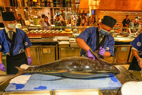 ▲▼豐FOOD海陸百匯 鮪魚季｜台北自助餐吃到飽，澎湃現流海鮮多國料理任你吃，週五限定鮪魚現切秀。（圖／部落客珊莎授權提供）