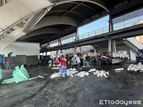 ▲屏東地檢署偵辦吳姓船長等人違反野生動物保育法            。（圖／記者陳崑福翻攝）