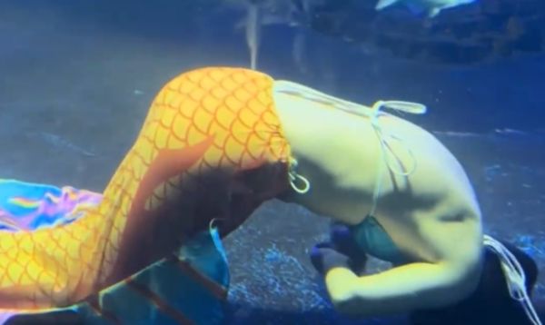 ▲▼陸水族館「美人魚」溺水！疑水中低血糖暈厥。（圖／翻攝微博）
