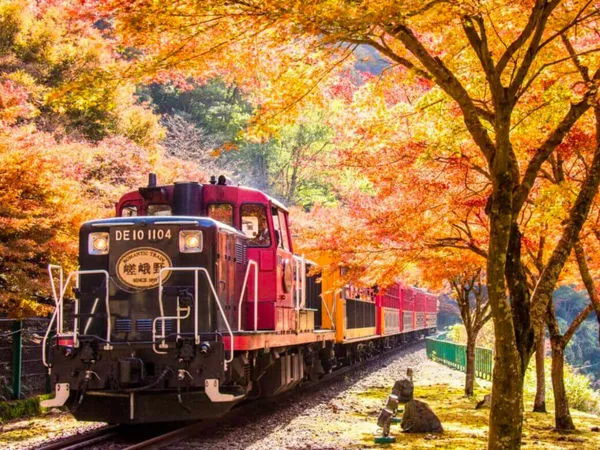 ▲▼日本自由行，在京都搭嵐山小火車。（圖／ReadyGo提供）