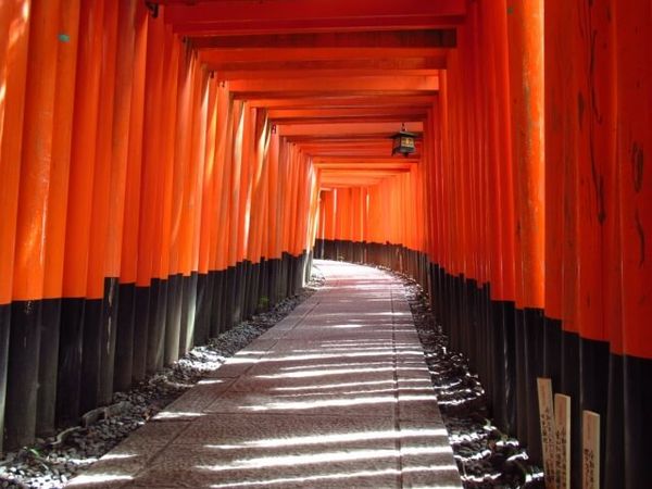 ▲▼日本自由行，在京都搭嵐山小火車。（圖／ReadyGo提供）