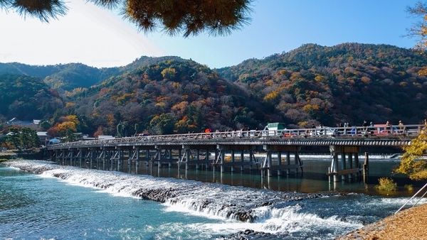 ▲▼日本自由行，在京都搭嵐山小火車。（圖／ReadyGo提供）