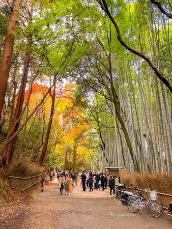 ▲▼日本自由行，在京都搭嵐山小火車。（圖／ReadyGo提供）