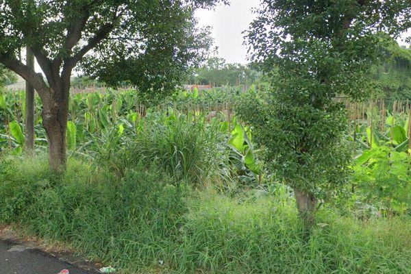 ▲▼             。（圖／記者許權毅攝）