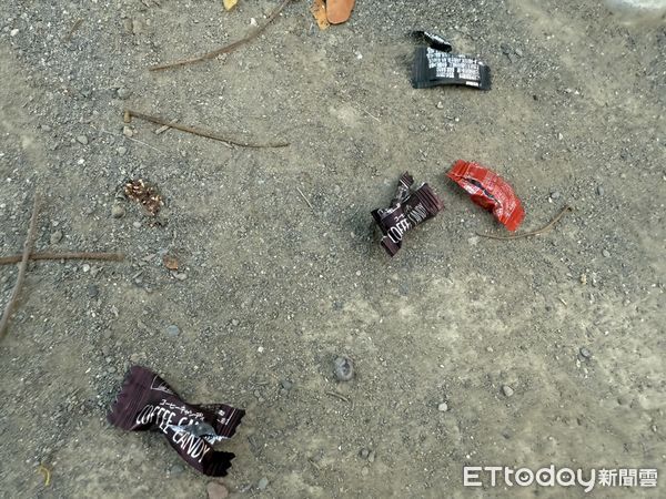 ▲▼男子公園隨手亂餵狗狗吃巧克力！女飼主氣到報警　罰金1萬5起跳 。（圖／記者賴文萱翻攝）