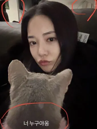 ▲李珠妍27日突曝光一張貓咪合照，地點疑在GD家裡。（圖／翻攝自nate）