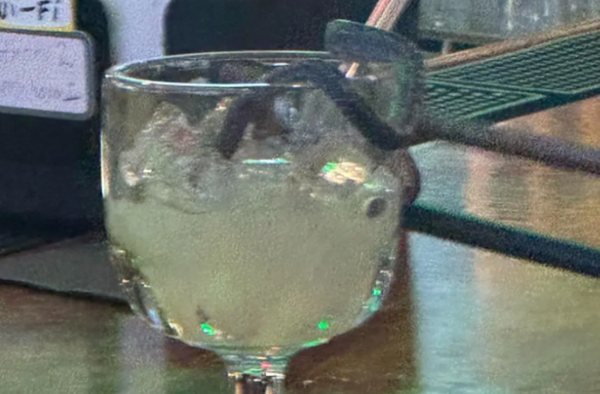 餐廳天花板有蛇！女約會慘被擊中　發現「活蛇在飲料杯中爬」。（圖／翻攝自Facebook）