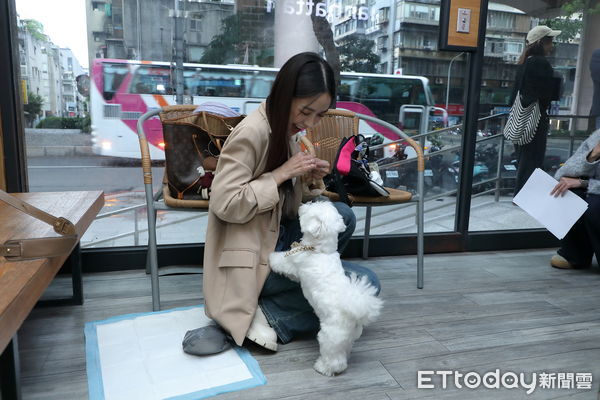 ▲▼大元曼哈頓動物醫院寵物健檢專題。（圖／記者湯興漢攝）