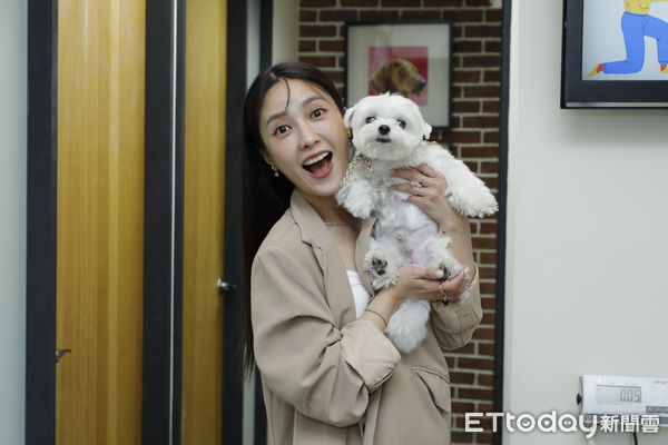 ▲▼大元曼哈頓動物醫院寵物健檢專題。（圖／記者湯興漢攝）